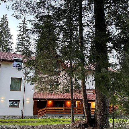 Sidharta Resort Obârşia Lotrului Eksteriør billede
