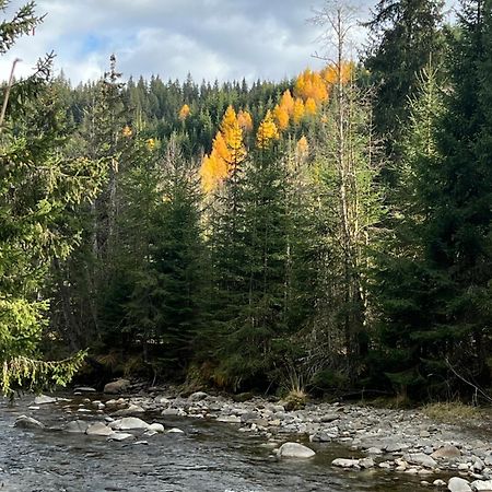 Sidharta Resort Obârşia Lotrului Eksteriør billede