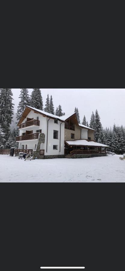Sidharta Resort Obârşia Lotrului Eksteriør billede