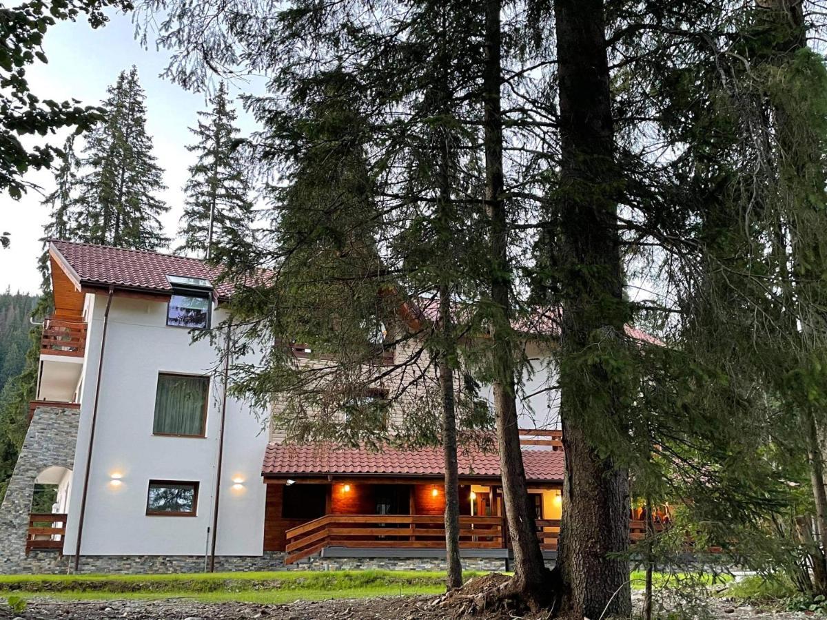 Sidharta Resort Obârşia Lotrului Eksteriør billede